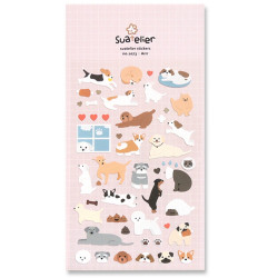 DAILY DECO, SUATELIER / Arrr