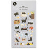 DAILY DECO, SUATELIER / my little universe