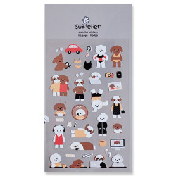 DAILY DECO, SUATELIER / hodoo