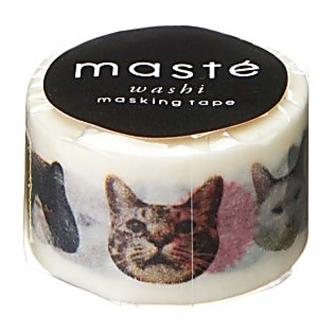 Cat / Multi, MASTE 1P - 7m